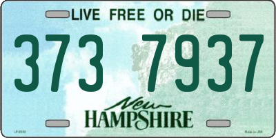 NH license plate 3737937