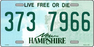 NH license plate 3737966