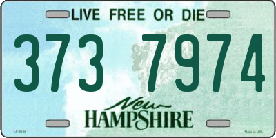 NH license plate 3737974