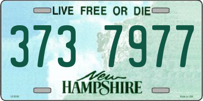NH license plate 3737977