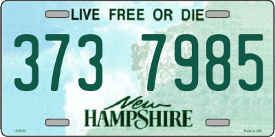 NH license plate 3737985