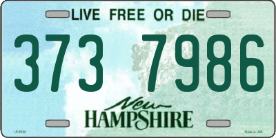 NH license plate 3737986
