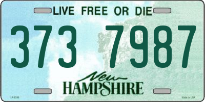 NH license plate 3737987