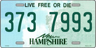 NH license plate 3737993