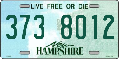 NH license plate 3738012