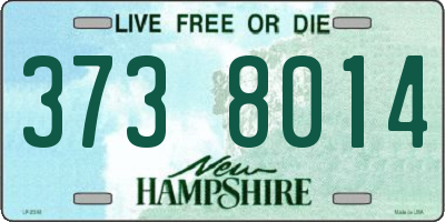 NH license plate 3738014