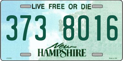 NH license plate 3738016