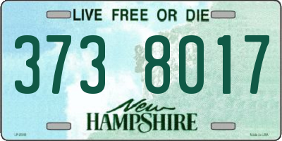 NH license plate 3738017