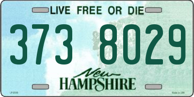 NH license plate 3738029