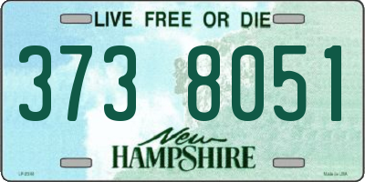 NH license plate 3738051