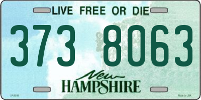 NH license plate 3738063