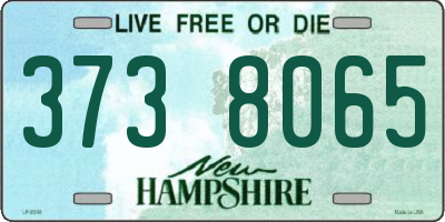 NH license plate 3738065