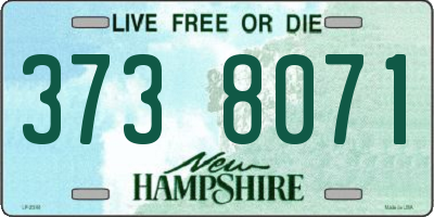NH license plate 3738071