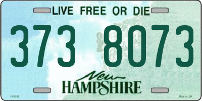 NH license plate 3738073