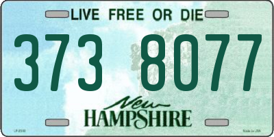NH license plate 3738077