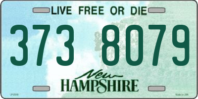 NH license plate 3738079