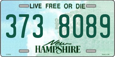 NH license plate 3738089