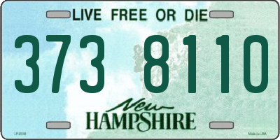NH license plate 3738110