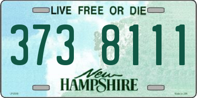 NH license plate 3738111