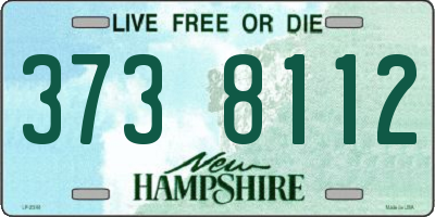 NH license plate 3738112