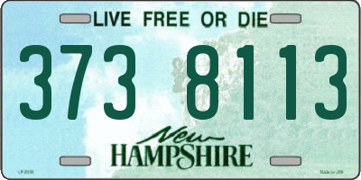NH license plate 3738113