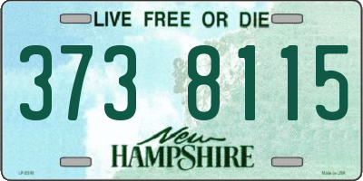 NH license plate 3738115