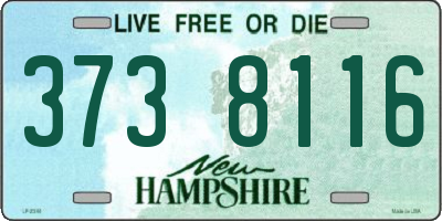 NH license plate 3738116