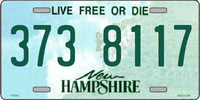 NH license plate 3738117