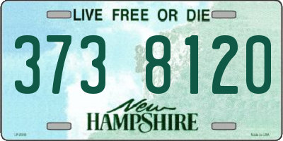 NH license plate 3738120
