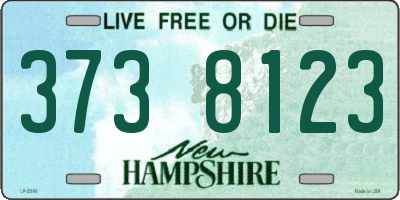 NH license plate 3738123