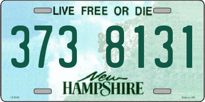 NH license plate 3738131