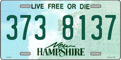 NH license plate 3738137