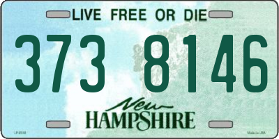 NH license plate 3738146