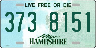 NH license plate 3738151