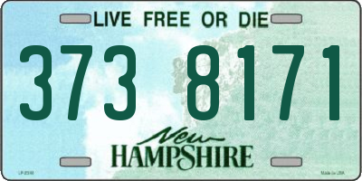 NH license plate 3738171