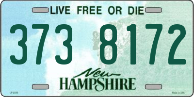 NH license plate 3738172