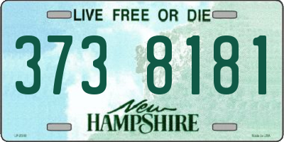 NH license plate 3738181