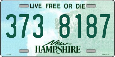 NH license plate 3738187