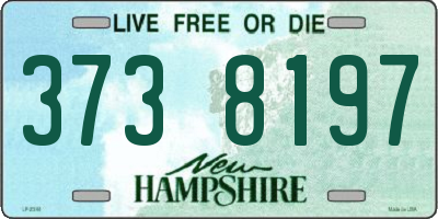 NH license plate 3738197
