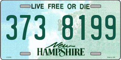 NH license plate 3738199