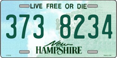 NH license plate 3738234