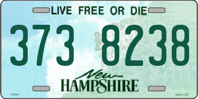 NH license plate 3738238