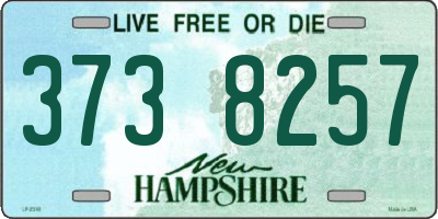 NH license plate 3738257