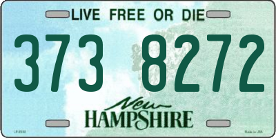 NH license plate 3738272