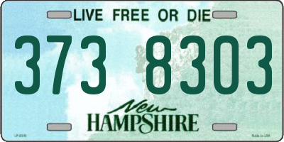 NH license plate 3738303