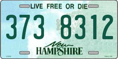 NH license plate 3738312