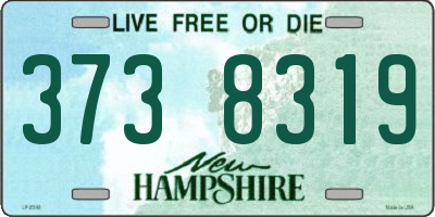 NH license plate 3738319
