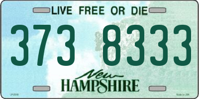 NH license plate 3738333