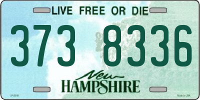 NH license plate 3738336