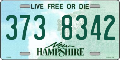 NH license plate 3738342
